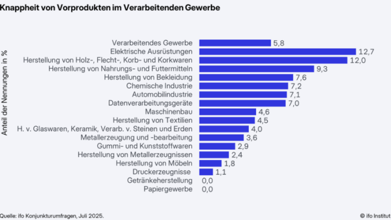 Ifo Konjunkturumfragen 2025